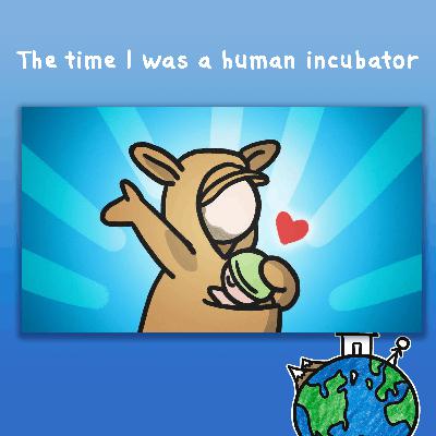 The time I was a human incubator