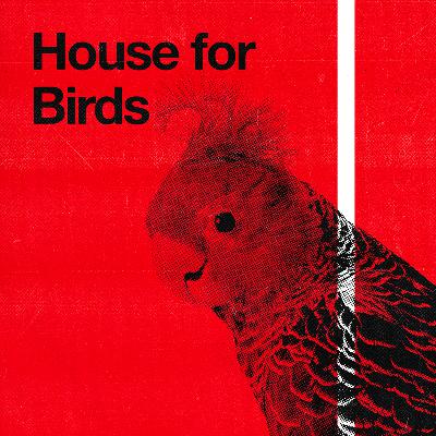 S2 Ep 4 - House for Birds