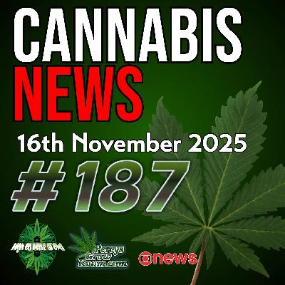 Big Changes to USA Cannabis Laws! | UK Medical Cannabis Users Suffer Stigma, But the Industry is Flourishing! | Canada Wants Reform | Cannabis News 187