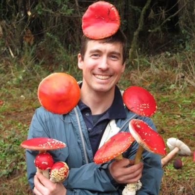 Catskill Fungi and Our Magical World of Mushrooms 🍄