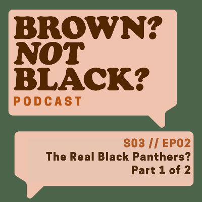 Episode 2: The Real Black Panthers? Part 1 of 2 Episode 2: The Real Black Panthers? Part 1 of 2