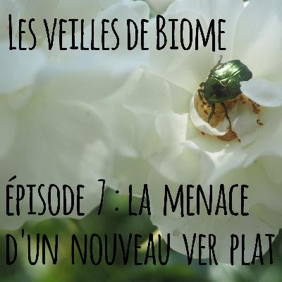 Les veilles de Biome - épisode 7 : la menace d'un nouveau ver plat