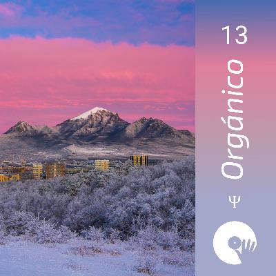 Orgánico 13 (mixed by DizzGO)