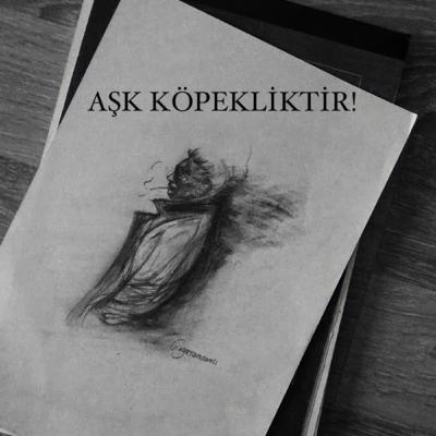 AŞK KÖPEKLİKTİR! AŞK KÖPEKLİKTİR!
