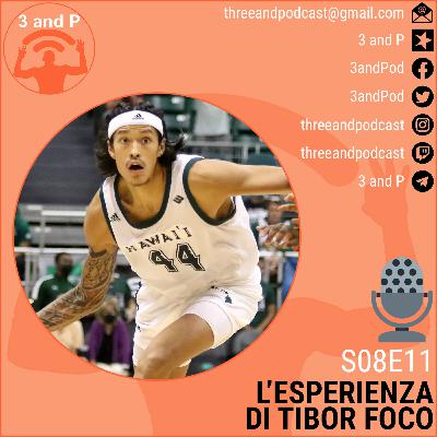 S08E11 | L'esperienza di Tibor Foco