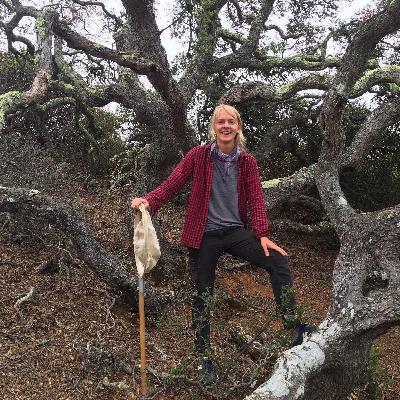 011: Ida Naughton: Part 1: Discovering the Channel Islands through the Fascinating World of Ants 011: Ida Naughton: Part 1: Discovering the Channel Islands through the Fascinating World of Ants