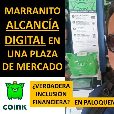 ¿Una marranito alcancía virtual? Reseña de la app para inclusión financiera