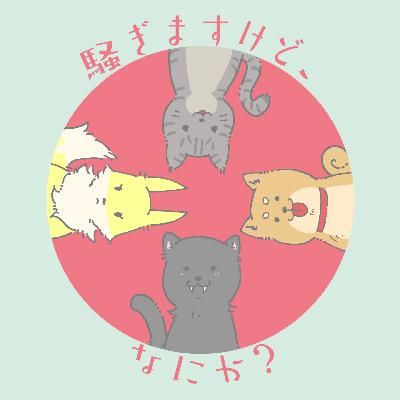 #225 『靴下の行方をタロットに聞いてみた』