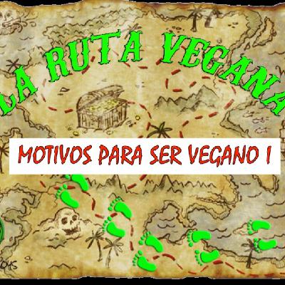 Motivos para ser vegano 1. Programa N 2