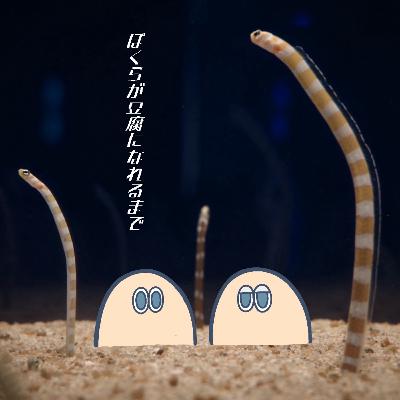#47 ふぃーるどとりっぷみええでぃしょん②