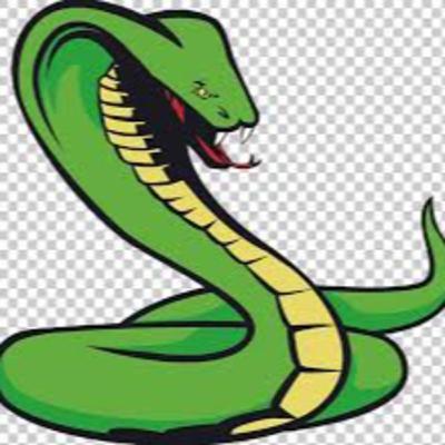 ophidiophobia, the fear of snakes