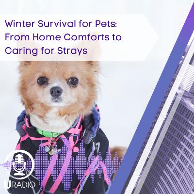 U Radio News: Winter Survival for Pets - From Home Comforts to Caring for Strays U Radio News: Winter Survival for Pets - From Home Comforts to Caring for Strays