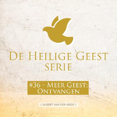 #36 Meer van de Geest – Ontvangen! #36 Meer van de Geest – Ontvangen!
