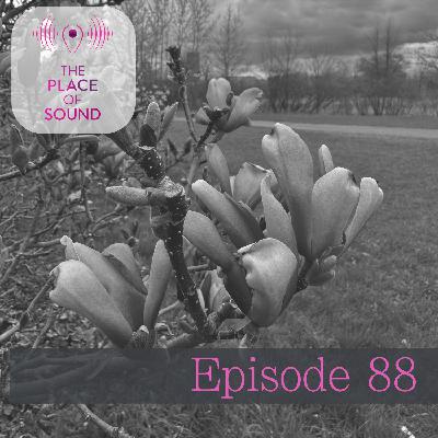 episode 88: transitions II