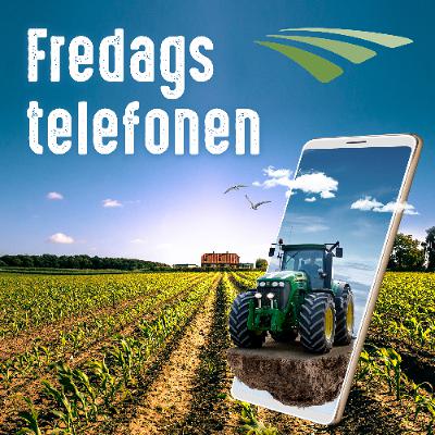 Fredagstelefonen 2025 - Uge 34: FORDØJELIGHEDEN AF CELLEVÆGGENE ER VIGTIG!