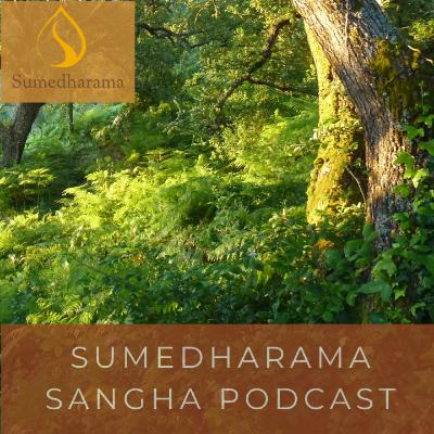 More on Meditation and Breath @Sunyata | Ajahn Vajiro | 2025-07-27.mp3