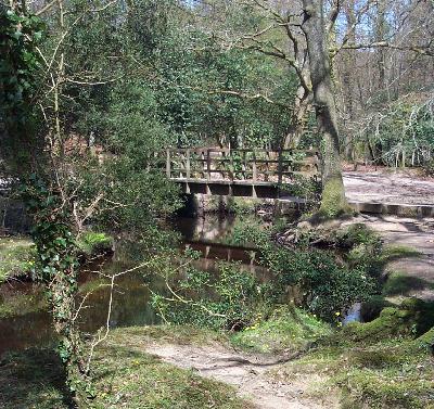 Soundwalk Along Ober Water
