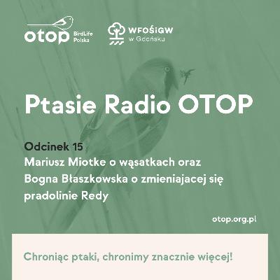 Ptasie Radio OTOP | Odc. 15 | Mariusz Miotke opowiada o wąsatkach, a Bogna Błaszkowska o zmieniającej się pradolinie Redy.