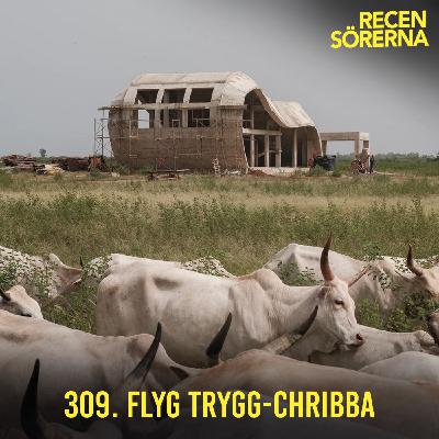 309. Flyg trygg-Chribba