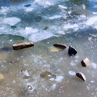 Другий тиждень війни (дні 4-14) Другий тиждень війни (дні 4-14)