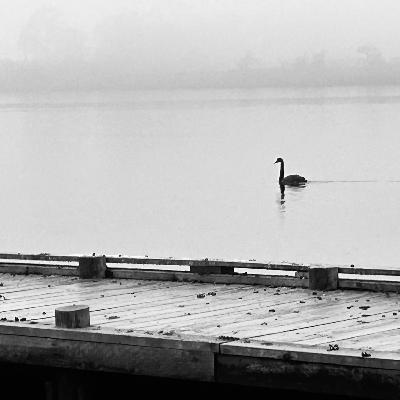 Cold Swimming - Huon Writes 2 Cold Swimming - Huon Writes 2