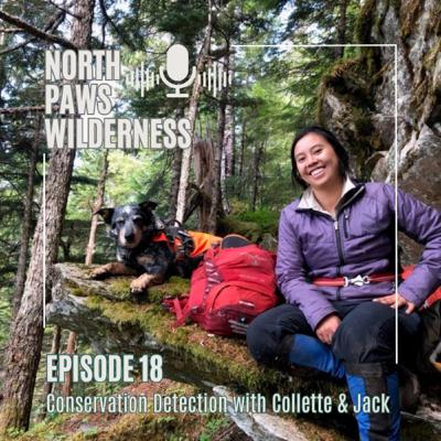 Conservation Detection with Collette & Jack