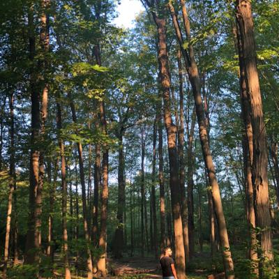 Episode 1--De-colonial futures —Intersectional framework of collective care