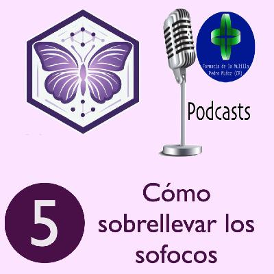 MENOPAUSIA 5 - Cómo sobrellevar los sofocos