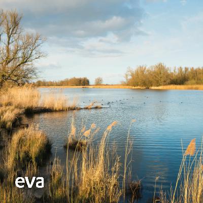 Meditatie bij het water Meditatie bij het water