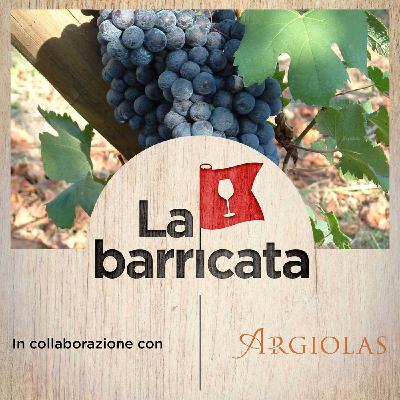 La personalità del Nebbiolo (con Alessandro Masnaghetti) - La barricata, 42