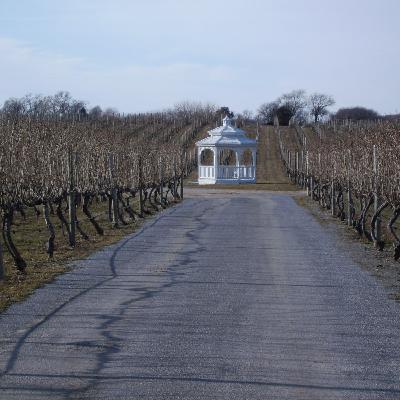 Episode 113: Long Island Wine