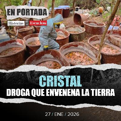 Ecocidio por narcolaboratorios: 23 años de daño silencioso en México