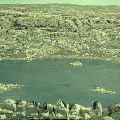 The Genesis of Hamas, the Failure of "Land for Peace," and Theological Jihad  Cliff May discussed the failure of the "land for peace" policy following Israel's 2005 withdrawal from Gaza and the violent takeover by Hamas. Hamas, representing the Muslim Bro