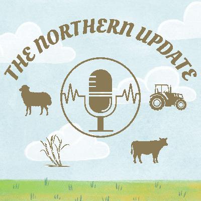 #6: Livestock & Property Market Update with Ashley Naclerio