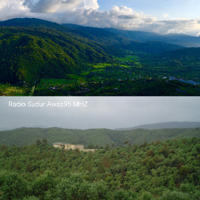 वन डिभिजनल कार्यालयको प्रयास, वन संरक्षण कसरी गर्न सकिन्छ ? र सामुदायिक वनको अवस्था