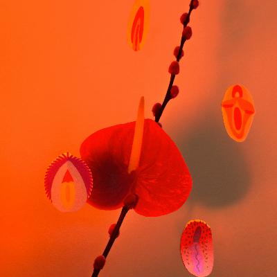 Quarantaineclip #8
