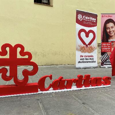 Voluntarios de Cáritas en Córdoba: voces de la esperanza Voluntarios de Cáritas en Córdoba: voces de la esperanza