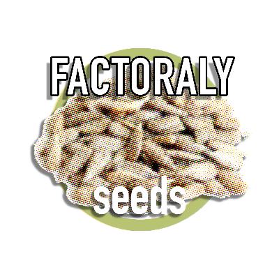 E116 SEEDS E116 SEEDS