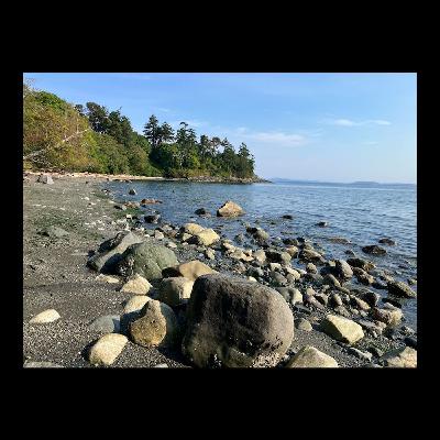 Beachwalking