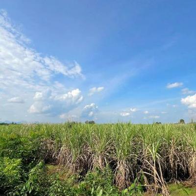 11月24日 17時の最新ニュース