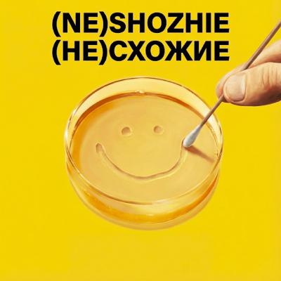«Плюрибус» — солнечный триллер о потере себя «Плюрибус» — солнечный триллер о потере себя