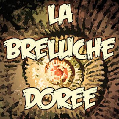 La Breluche dorée : les résultats du casting
