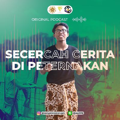 Fapet Talks Eps. 7
