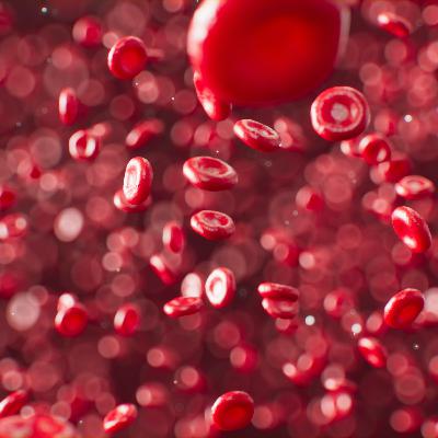 Approach to Anemia