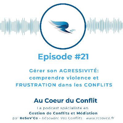 21. Gérer SON AGRESSIVITÉ : Comprendre FRUSTRATION et VIOLENCE dans les CONFLITS 21. Gérer SON AGRESSIVITÉ : Comprendre FRUSTRATION et VIOLENCE dans les CONFLITS