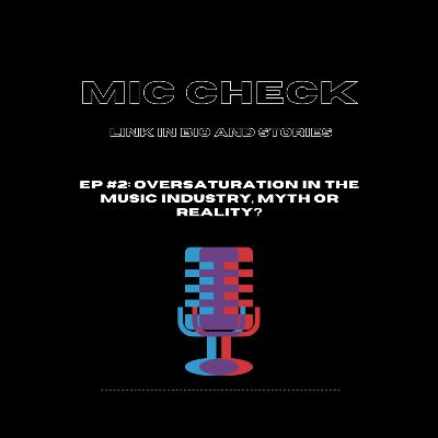 Oversaturation in the Music Industry, Myth or Reality?