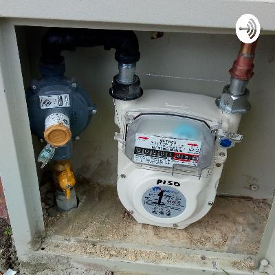 Servicio técnico de Gas natural