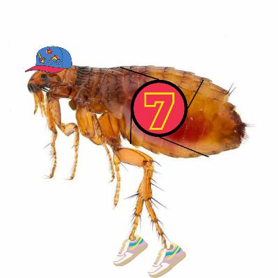 #20 Jako bleška závod vyhrála - TEASER #20 Jako bleška závod vyhrála - TEASER