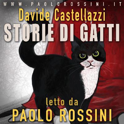 STORIE DI GATTI - Il nuovo Podcast di Paolo Rossini con i testi di Davide Castellazzi.
