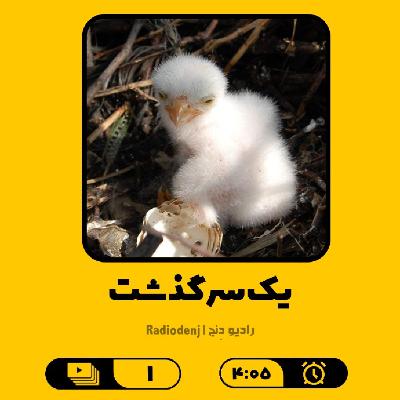 1- یک سرگذشت